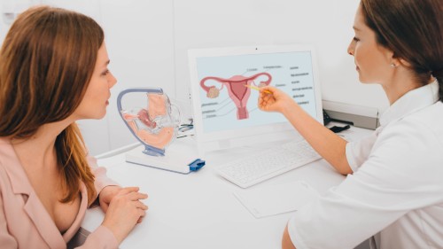 Image of a patient and gynecologist at a desk. The gynecologist is showing an image of sexual organs to the patient.