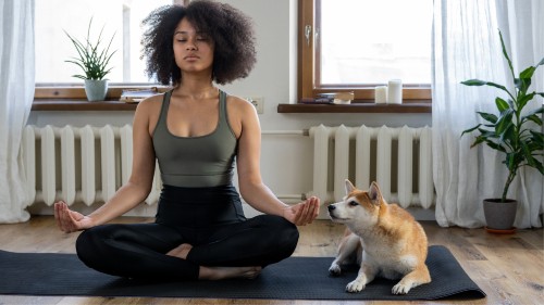 A tranquil, sunshine-lit room with long white curtains, two potted plants, and natural wood flooring provides a peaceful space for meditation to help relieve health anxiety. A person with brown skin, short dark brown curly hair, hunter green form-fitting tank top, and black full-length yoga pants sits crossed-legged with eyes closed on a black yoga mat beside their Shiba Inu dog, who is lying comfortably with nose reaching toward their human's relaxed hand.
