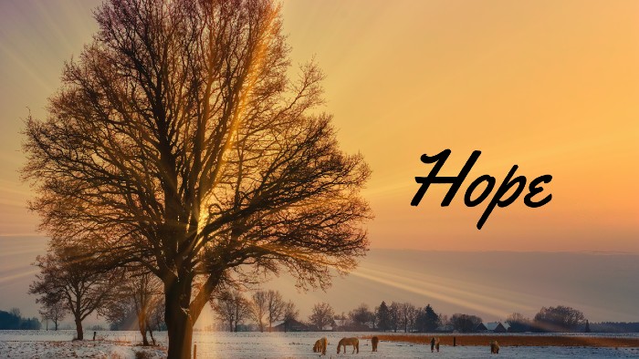 Image of a big, beautiful tree in the country side with a beautiful sunrise in the background and the word 'hope' written in black, cursive font in the sky. This image represents Kelly's newfound hope after her LS diagnosis.
